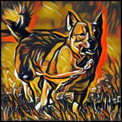 Picture of Swedish Vallhund-Graffiti Haus Mug