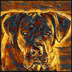 Picture of Cane Corso-Painterly Mug