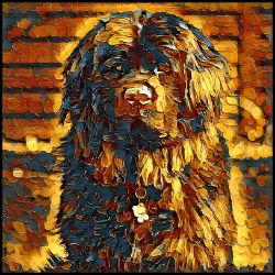 Picture of Newfoundland-Painterly Mug