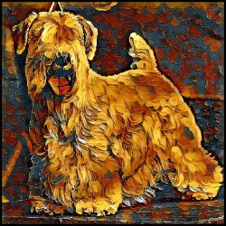 Picture of Sealyham Terrier-Painterly Mug