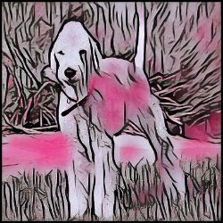 Picture of Bedlington Terrier-Comic Pink Mug