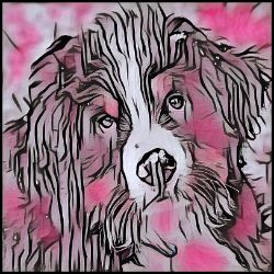 Picture of Bernese Mountain Dog-Comic Pink Mug