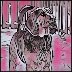 Picture of Bloodhound-Comic Pink Mug