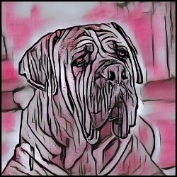 Picture of Boerboel-Comic Pink Mug