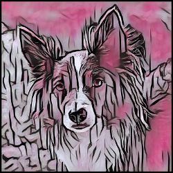 Picture of Border Collie-Comic Pink Mug