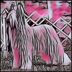 Picture of Briard-Comic Pink Mug