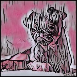 Picture of Brussels Griffon-Comic Pink Mug