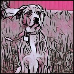 Picture of Catahoula Leopard Dog-Comic Pink Mug