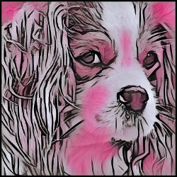 Picture of Cavalier King Charles Spaniel-Comic Pink Mug