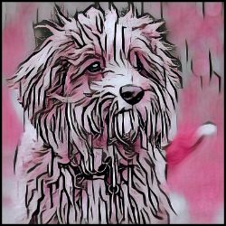 Picture of Cavapoo-Comic Pink Mug