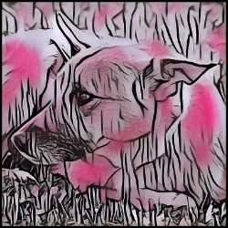 Picture of Chinook-Comic Pink Mug