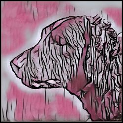 Picture of Curly Coated Retriever-Comic Pink Mug