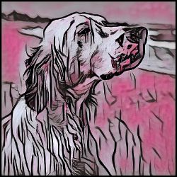 Picture of English Setter-Comic Pink Mug