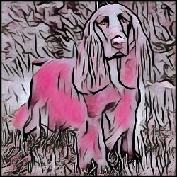 Picture of Field Spaniel-Comic Pink Mug