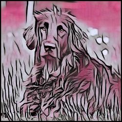Picture of German Long Haired Pointer-Comic Pink Mug