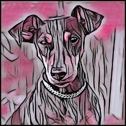 Picture of German Pinscher-Comic Pink Mug