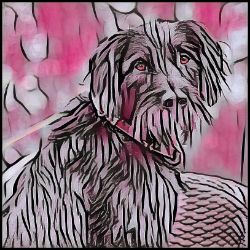 Picture of German Wirehaired Pointer-Comic Pink Mug
