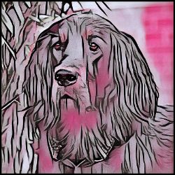 Picture of Gordon Setter-Comic Pink Mug