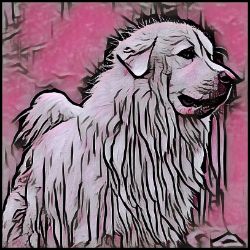 Picture of Great Pyrenees-Comic Pink Mug