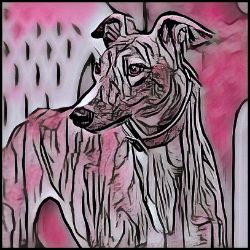 Picture of Greyhound-Comic Pink Mug