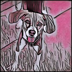 Picture of Harrier-Comic Pink Mug