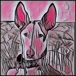 Picture of Ibizan Hound-Comic Pink Mug