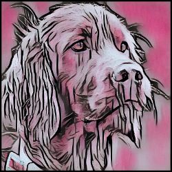 Picture of Irish Setter-Comic Pink Mug