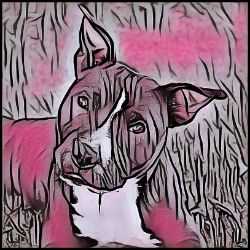 Picture of Staffordshire Bull Terrier-Comic Pink Mug