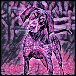 Picture of Bluetick Coonhound-Violet Femmes Mug