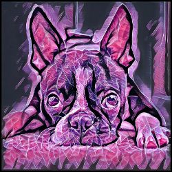 Picture of Boston Terrier-Violet Femmes Mug