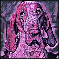 Picture of Bracco Italiano-Violet Femmes Mug