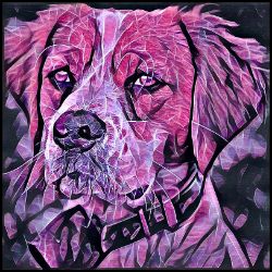 Picture of Brittany Spaniel-Violet Femmes Mug