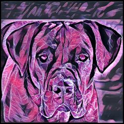Picture of Cane Corso-Violet Femmes Mug