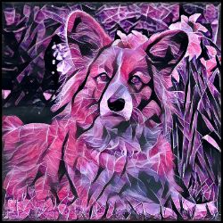 Picture of Cardigan Welsh Corgi-Violet Femmes Mug