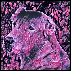 Picture of Central Asian Shepherd Dog-Violet Femmes Mug