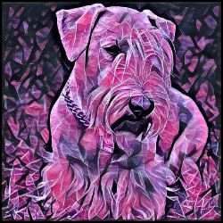 Picture of Cesky Terrier-Violet Femmes Mug