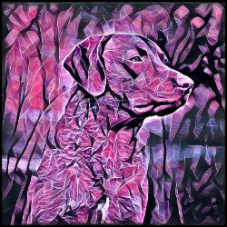 Picture of Chesapeake Retriever-Violet Femmes Mug