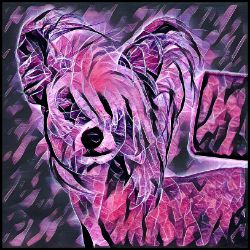 Picture of Chinese Crested-Violet Femmes Mug