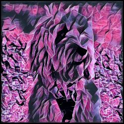 Picture of Cockapoo-Violet Femmes Mug