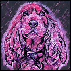 Picture of Cocker Spaniel-Violet Femmes Mug