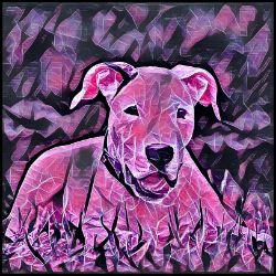 Picture of Dogo Argentino-Violet Femmes Mug