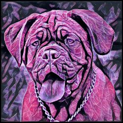 Picture of Dogue de Bordeux-Violet Femmes Mug