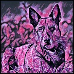 Picture of Dutch Shepherd-Violet Femmes Mug
