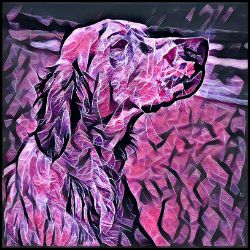 Picture of English Setter-Violet Femmes Mug