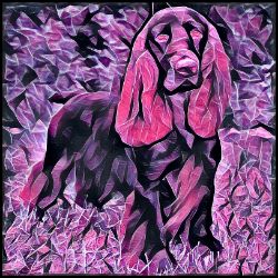 Picture of Field Spaniel-Violet Femmes Mug