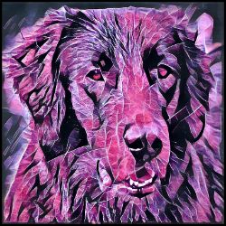 Picture of Flat Coated Retriever-Violet Femmes Mug