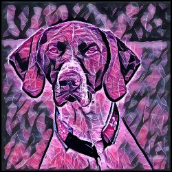 Picture of German Shorthaired Pointer-Violet Femmes Mug