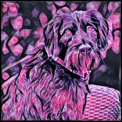 Picture of German Wirehaired Pointer-Violet Femmes Mug