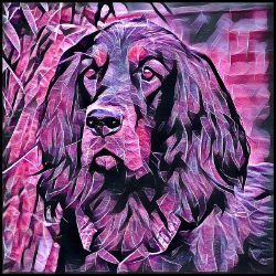 Picture of Gordon Setter-Violet Femmes Mug