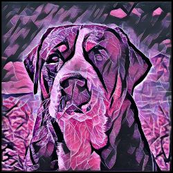 Picture of Greater Swiss Mountain Dog-Violet Femmes Mug